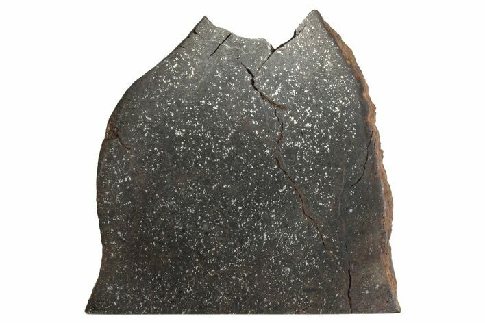 Polished Tulia (a) Meteorite Slice (g) - Texas #243007